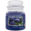 Svíčka Village Candle Hydrangea 389 g