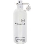 Montale Fruits Of The Musk parfémovaná voda unisex 100 ml – Hledejceny.cz