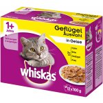 Whiskas 1+ Ragout drůbeží výběr jelly 48 x 85 g – Hledejceny.cz