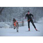 Non-stop dogwear Loype belt pro S – Hledejceny.cz