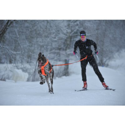 Non-stop dogwear Loype belt pro S – Hledejceny.cz