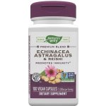 Nature's Way Echinacea Astragalus & Reishi 100 kapslí – Hledejceny.cz