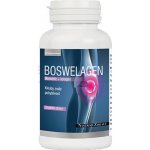 NástrojeZdraví Boswelagen 60 kapslí – Hledejceny.cz