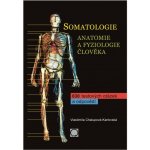 Somatologie Anatomie a fyziol. Člověka – Hledejceny.cz