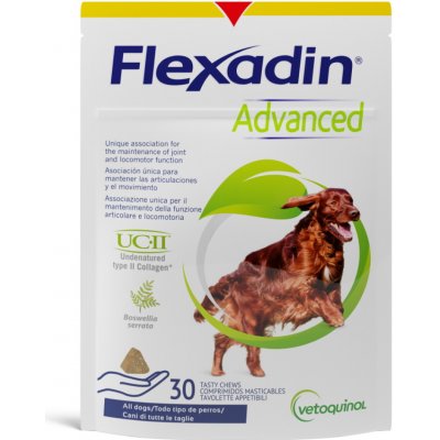 FLEXADIN Advanced pes 30 tbl – Zboží Dáma