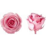 Hlavy růží - princess 16 ks Light pink - světle růžová – Hledejceny.cz