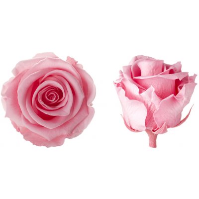 Hlavy růží - princess 16 ks Light pink - světle růžová – Hledejceny.cz