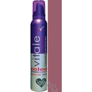 Vitale Exclusively barvící pěnové tužidlo Plum Švestka 200 ml