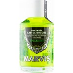 Marvis Spearmint koncentrovaná pro svěží dech 120 ml – Zboží Mobilmania