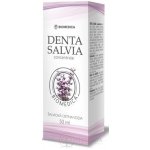 Denta Salvia concentrate šalvějová 50 ml – Sleviste.cz