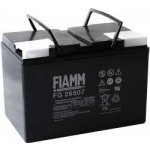 FIAMM FG26505 - 65Ah Lead-Acid 12V – Zboží Mobilmania
