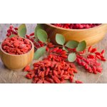 IBK Trade GOJI Kustovnice Čínská 1 kg – Hledejceny.cz