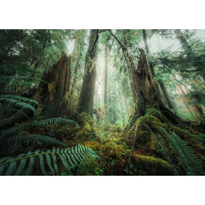RAVENSBURGER V lese 1000 dílků – Zboží Mobilmania