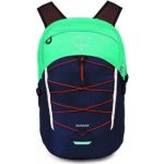 Osprey Quasar 26 l reverie green/cetacean blue – Sleviste.cz