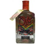 Mexicana Silver 38% 0,7 l (holá láhev) – Zboží Dáma