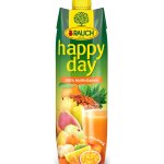 Rauch Happy Day multivitamín 100% 12 x 1 l – Zboží Mobilmania