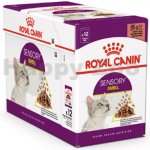 Royal Canin Sensory Smell gravy 12 x 85 g – Hledejceny.cz