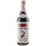 R. Jelínek Cherry Liquer 24% 0,7 l (holá láhev) – Zboží Dáma