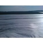 Agrotex netkaná textilie 19g 9,5 x 100m – Zbozi.Blesk.cz