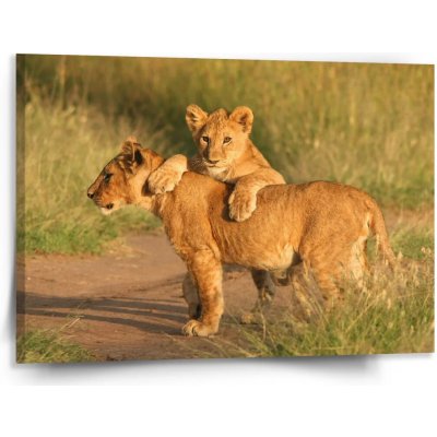 Sablio Obraz Lvíčata - 150x110 cm – Hledejceny.cz