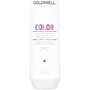 Goldwell Dualsenses Color Brilliance Fade Stop Shampoo 1000 ml