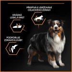 Pro Plan Large Adult Robust Everyday Nutrition kuře 14 kg – Zboží Mobilmania
