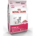 Orijen Cat & Kitten 1,8 kg – Sleviste.cz