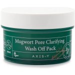 Axis y Mugwort Pore Clarifying Wash Off Pack 100 ml – Hledejceny.cz