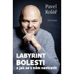 Labyrint bolesti - Pavel Kolář – Zboží Dáma