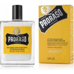 Proraso Wood and Spice balzám po holení 100 ml – Zboží Dáma
