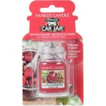 Yankee Candle Red Raspberry gelová visačka | Zboží Auto