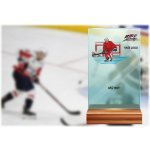 Skleněná trofej na dřevěném podstavci Hokej Výška: 17 cm – Hledejceny.cz