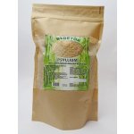 Psyllium rozpustná vláknina 500 g – Hledejceny.cz