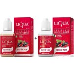 Ritchy Liqua Berry Mix 30 ml 18 mg – Zboží Mobilmania