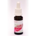 Eoné pleťový olej růže - jasmín 20 ml – Hledejceny.cz