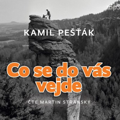 Co se do vás vejde - Kamil Pešťák - Čte Martin Stránský – Zbozi.Blesk.cz