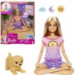 Barbie Meditace od rána do večera – Zboží Dáma