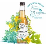 Bala21 Kombucha Bitter Herbal s probiotiky 330 ml – Hledejceny.cz