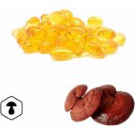 LifeChi Reishi Ganoderma lucidum spórový olej 120 tablet – Hledejceny.cz