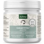 AniForte Prášek na klouby pro psy Joint VETAL 3 250 g – Hledejceny.cz
