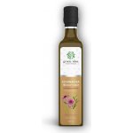 Green idea Echinacea sirup třtinový 250 ml – Hledejceny.cz