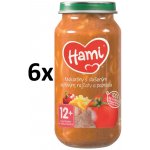Hami Makaróny s dušeným vepřovým rajčaty a paprikou 6 x 250 g – Sleviste.cz