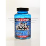 Aminostar Fat Burner Thermogenic 90 kapslí – Hledejceny.cz