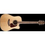 Takamine GD93CE Natural – Zboží Mobilmania