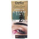 Přípravky na obočí Delia Cosmetics Cameleo krémová profesionální barva na obočí 1.0 Black 15 ml