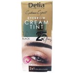 Delia Cosmetics Cameleo krémová profesionální barva na obočí 1.0 Black 15 ml – Zboží Dáma