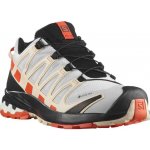 Salomon Xa Pro 3d V8 Gtx W lunar rock/cherry – Hledejceny.cz