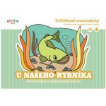 U našeho rybníka Zvířátkové omalovánky – Hledejceny.cz