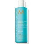 Moroccanoil Repair Moisture Shampoo hydratační a vyživující šampon pro poškozené vlasy 250 ml – Zbozi.Blesk.cz