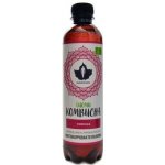 Puhdistamo Kombucha BIO 370 ml ginger lemon Bio Kombucha zázvor-citrón – Hledejceny.cz